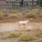 dia en el "barro"